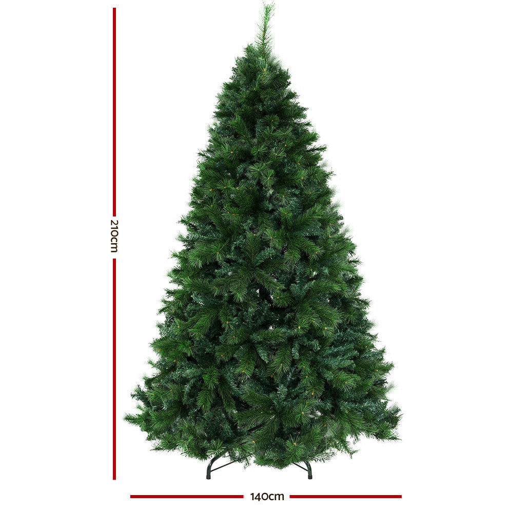 Real Christmas Trees Near Me - Christmas Tree 2.1M - Christmas Decor